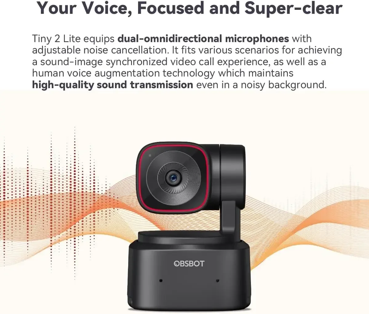 Tiny 2 Lite 4K PTZ Webcam AI T - Webcam 4K 评论和价格
