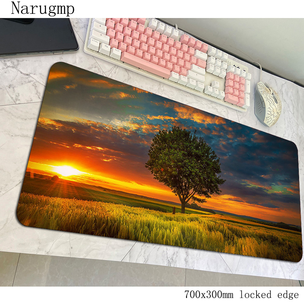 Sunset Mouse Pad Beautiful Ani - Pc Gaming World Of Warcraft 评论和价格